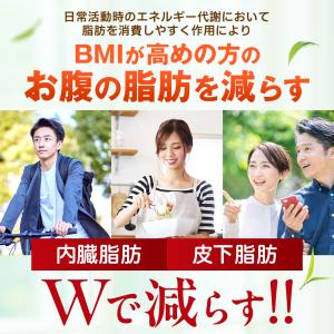 ダイエット サプリ お腹の脂肪 皮下脂肪 内臓...の詳細画像5