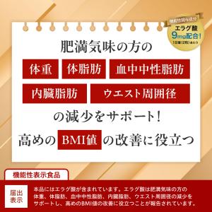 ダイエットサプリ エラグ酸 9mg 体重 体脂...の詳細画像2
