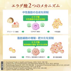 ダイエットサプリ エラグ酸 9mg 体重 体脂...の詳細画像5