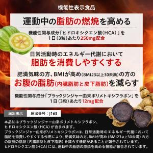 ダイエットサプリ 脂肪燃焼を高める お腹の脂肪...の詳細画像2