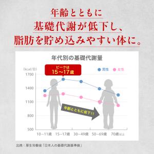 ダイエットサプリ 脂肪燃焼を高める お腹の脂肪...の詳細画像3