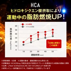ダイエットサプリ 脂肪燃焼を高める お腹の脂肪...の詳細画像4