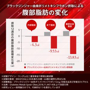 ダイエットサプリ 脂肪燃焼を高める お腹の脂肪...の詳細画像5
