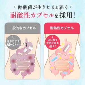 酪酸菌 サプリ 乳酸菌 ビフィズス菌 生きた酪...の詳細画像4