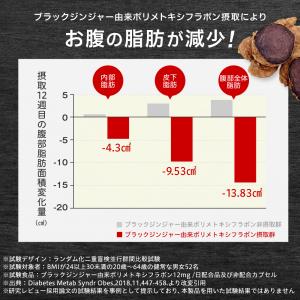 血圧下げる お腹の脂肪を減らす サプリ 機能性...の詳細画像4