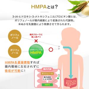 血糖値を下げる 血圧を下げる 内臓脂肪を減らす...の詳細画像3