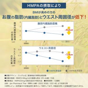 血糖値を下げる 血圧を下げる 内臓脂肪を減らす...の詳細画像5