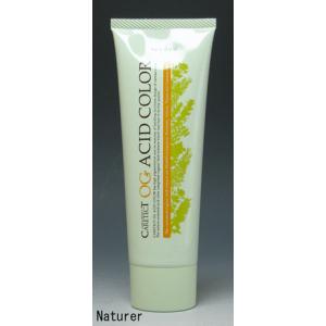 napla（ナプラ） ケアテクト OG アシッドカラー 190g カラーご選択