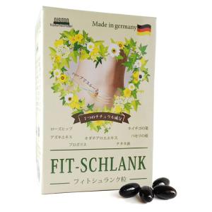 フィトシュランク粒 75粒入 FIT-SCHLANK ドイツ アルシタン社ダイエットサプリメント  ハーブ加工食品 ALSITAN ユニコ レホライフケア｜natures