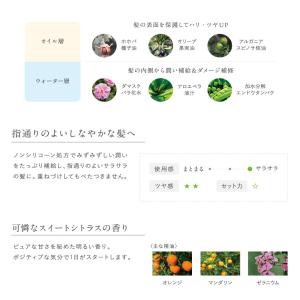 ヴェレダ WELEDA 公式 正規品 ヘアミストの詳細画像3
