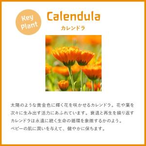 ヴェレダ WELEDA 公式 正規品 カレンド...の詳細画像5