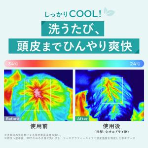 <2点セット>ヴェレダ スカルプクレンジング ...の詳細画像2