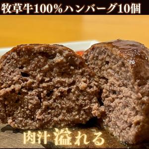 グラスフェッドビーフ　無添加ハンバーグ１Kg コラーゲンたっぷり牛スジ入り　牛肉ハンバーグ