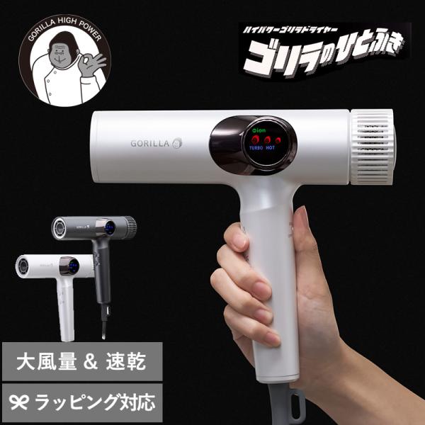 ドライヤー 大風量 速乾 時短 マイナスイオン 高速モーター うねり ハネ DOSHISHA ドウシ...