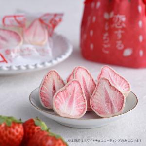 フリーズドライ いちご イチゴ チョコ おしゃ...の詳細画像3