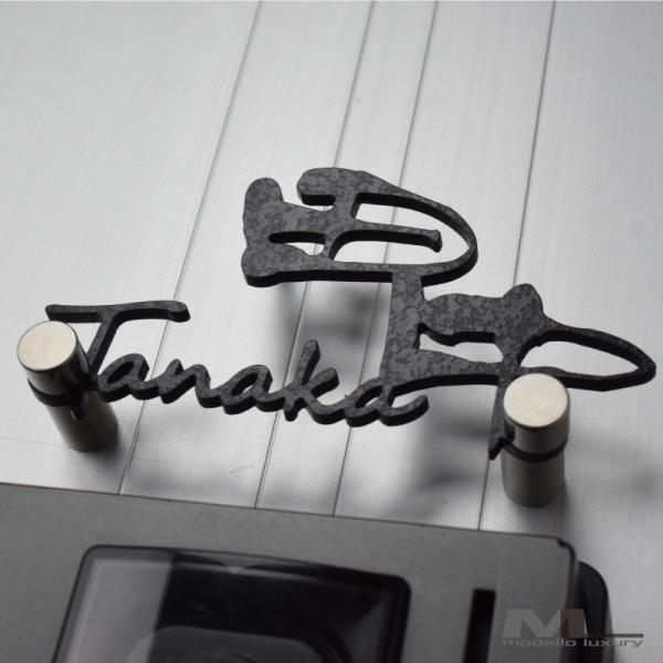 表札 おしゃれ 戸建て ステンレス アイアン ラモードリザーラプチ