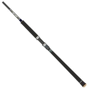ショアジギングロッド ジャクソン メタルトライブ MTX-1006H(2 ショアジギングロッド ジャクソン メタルトライブ MTX-1006H(2