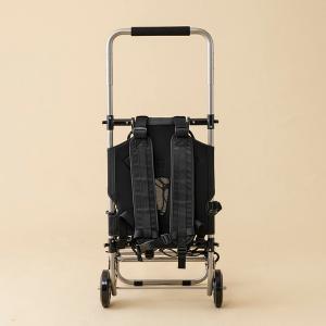 DAIWA（ダイワ） Bパック A / 背負子 フレームパック / 釣具 / daiwa