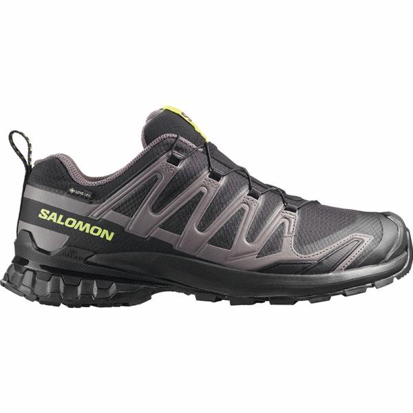 サロモン XA PRO 3D V9 GORE-TEX(XA プロ 3D V9 ゴアテックス) 28....