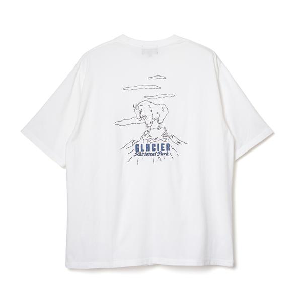 トップス(メンズ) ペンドルトン S/S ナショナルパークバックプリントティ M オフホワイト