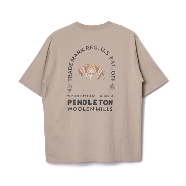 トップス(メンズ) ペンドルトン S/S ナショナルパークガーメントダイバックプリントティ L グレ...