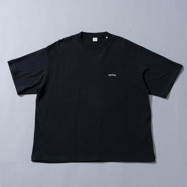 トップス(レディース) ORCIVAL コットン天竺 クルーネック半袖Tシャツ(ウィメンズ) 2 B...