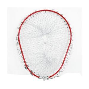 DAIWA（ダイワ） 1/15まで全品+P5% ランディングネット ランディング