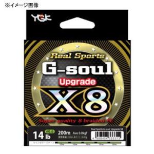 ルアー用PEライン よつあみ リアルスポーツ G-soul ...