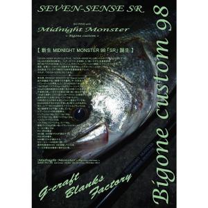 ジークラフト セブンセンスSR MWS-952-SR Gクラフト SEVEN-SENSE SR Mid Water MWS-952-SR 大型便B 爆買