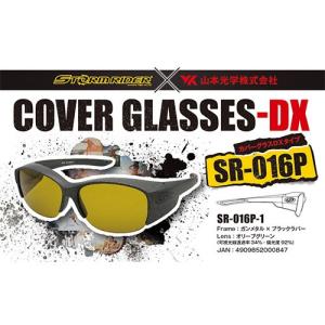 1/27まで全品+P5% 偏光グラス ストームライダー SR-016-P COVER