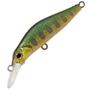 ジャクソン 奏 S 45mm SKY