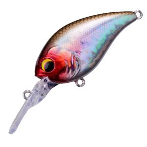 ペイフォワード ワンエイトSR : ウインズヤフー店 - 通販 - Yahoo