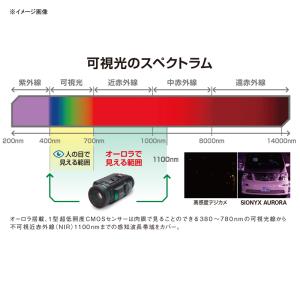 SIONYX サイオニクス プロ ブラック/ゴールドの詳細画像5