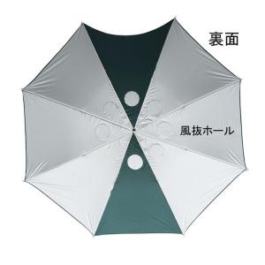 渓流仕掛け・淡水仕掛け しもつけ 無限 PRE...の詳細画像2