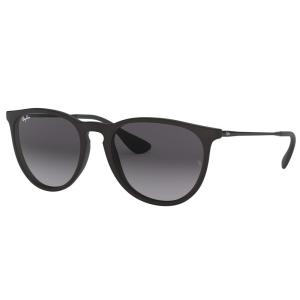 Ray-Ban ERIKA CLASSIC 54 622×8G