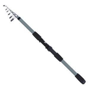 DAIWA（ダイワ） 投竿 リバティクラブ サーフ T15号-270・K