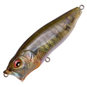 Megabass（メガバス） ポップマックス POP-MAX 【1】 : バックラッシュ