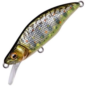 DAIWA（釣り） 【アウトレット】 ダイワ ルアー ふく魚 ピンク