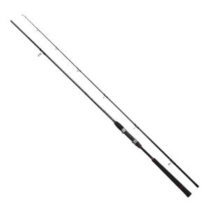 シーバスロッド 大阪漁具 7/10-12は全品+P5% シーバスロッド ソルトバサーXX5 96SH(2