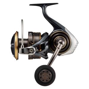 DAIWA（ダイワ） スピニングリール 22 CALDIA(カルディア) SW 18000