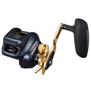 DAIWA（ダイワ） 【目玉商品】ダイワ 25 ティエラ IC 300L-C 左