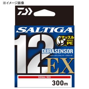 ダイワ PEライン ソルティガ 300m 6号の買取情報