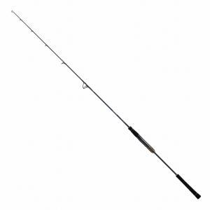ソルティガ　SALTIGA R J62S-3 lo オフショアロッド DAIWA（ダイワ） オフショアロッド ソルティガ J ローレスポンス 62S-3