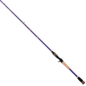 テイルウォーク ナマズロッド C65MH Gの買取情報