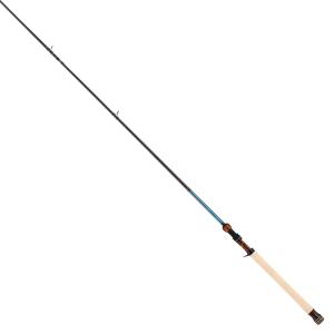 テイルウォーク トラウトロッド C83MHの買取情報