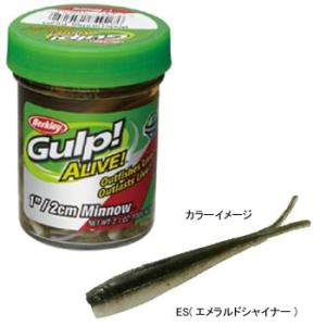 Gamakatsu（がまかつ） がま磯 アルデナ カーエー4号 (取り寄せ・送料