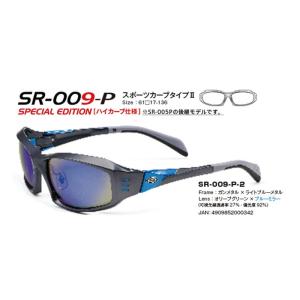 偏光グラス ストームライダー SR-010-P ファッションカーブタイプ2