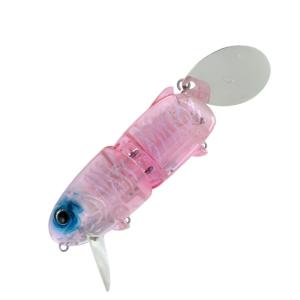 スケルトンランド スケルトンクランク グランダー武蔵 : バック