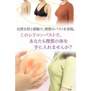 シリコンバスト Mサイズ 左右で約600g(3...の詳細画像5