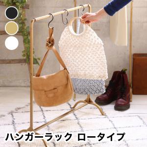 ジョセフアイアン ハンガーラック ロー 組立式 DTFF9210｜navi-p-com-online